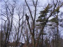 climb2.jpg